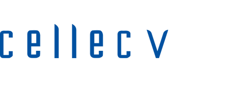 セレックVのロゴ